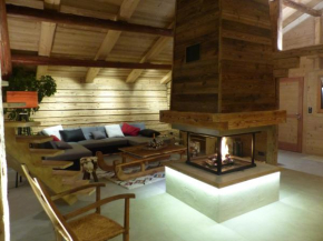 Appartement 4* pour 10 pers. avec cheminée et bain norvégien, proche pistes - Le Grand-Bornand - FR-1-467-100